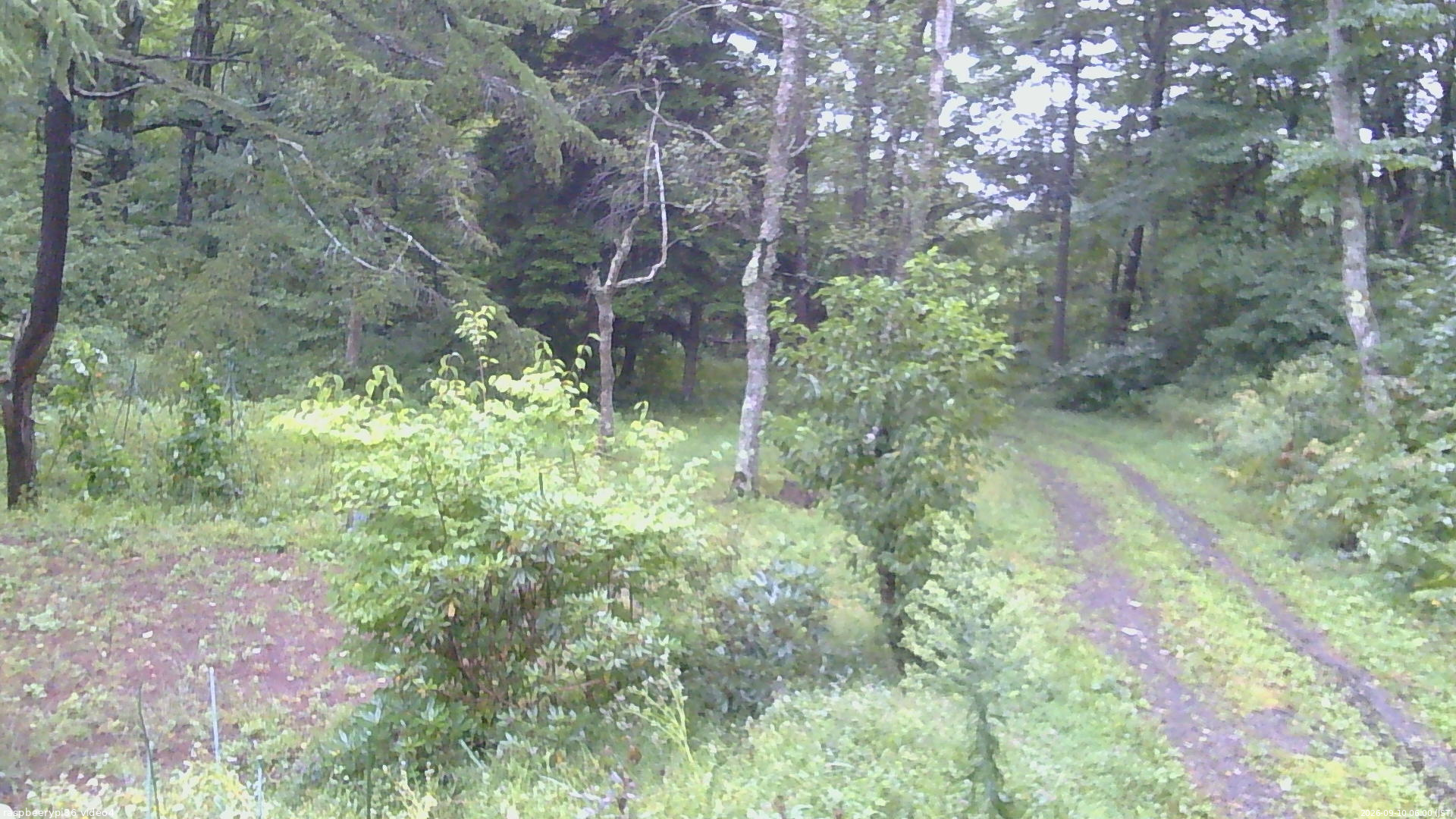 長野県菅平高原 ゆたか山荘 坂上 2026/09/10 06:00