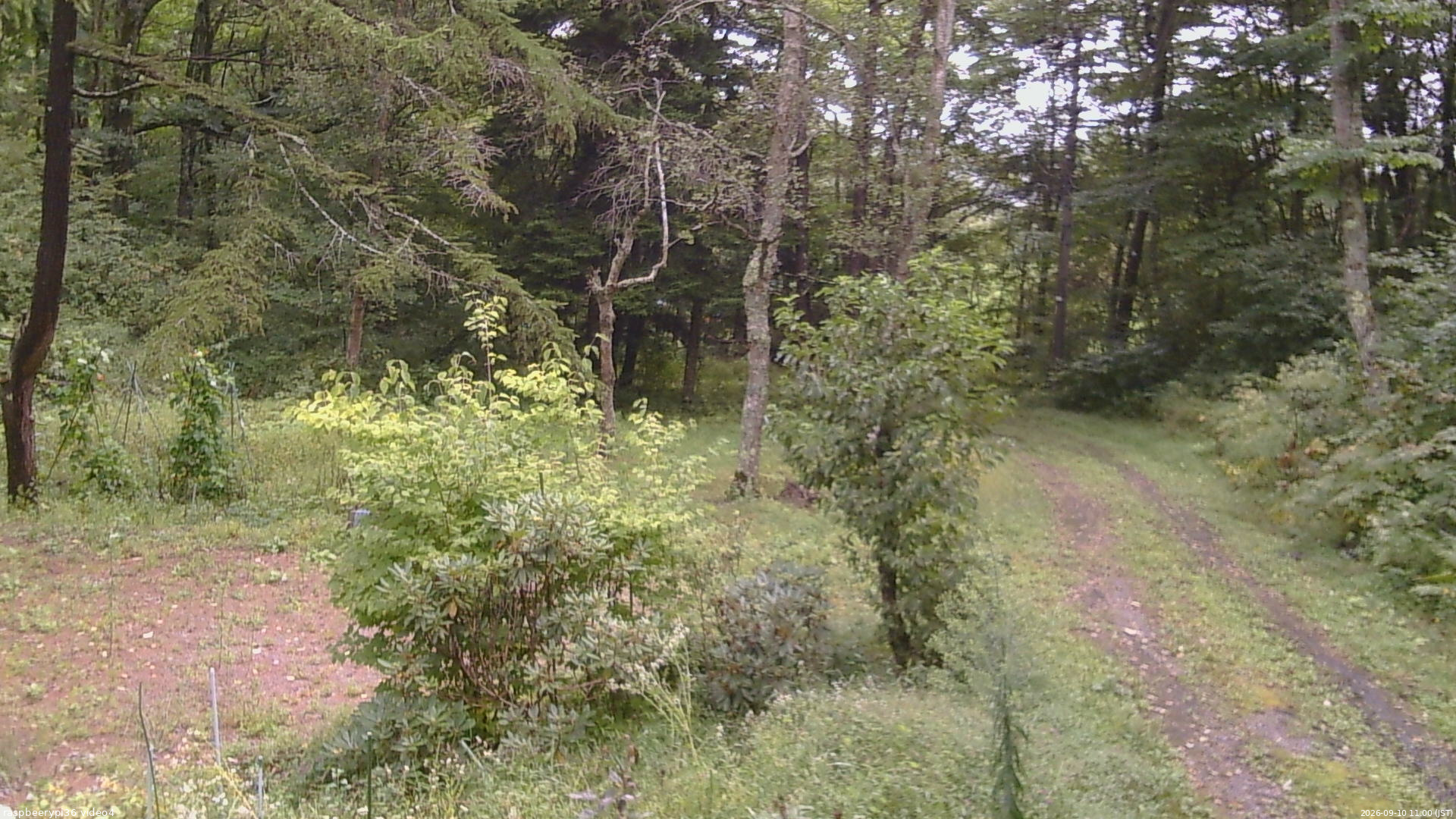 長野県菅平高原 ゆたか山荘 坂上 2026/09/10 11:00