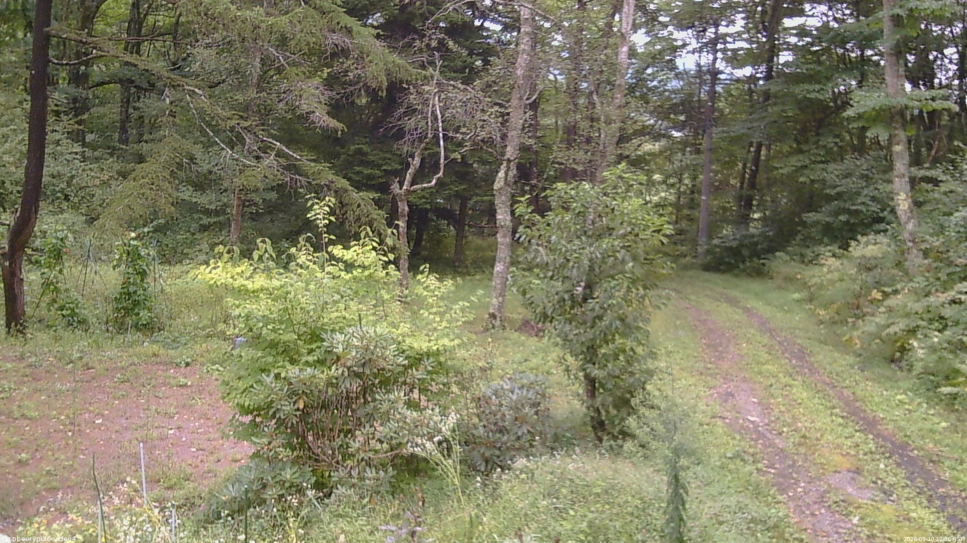 長野県菅平高原 ゆたか山荘 坂上 2026/09/10 12:30