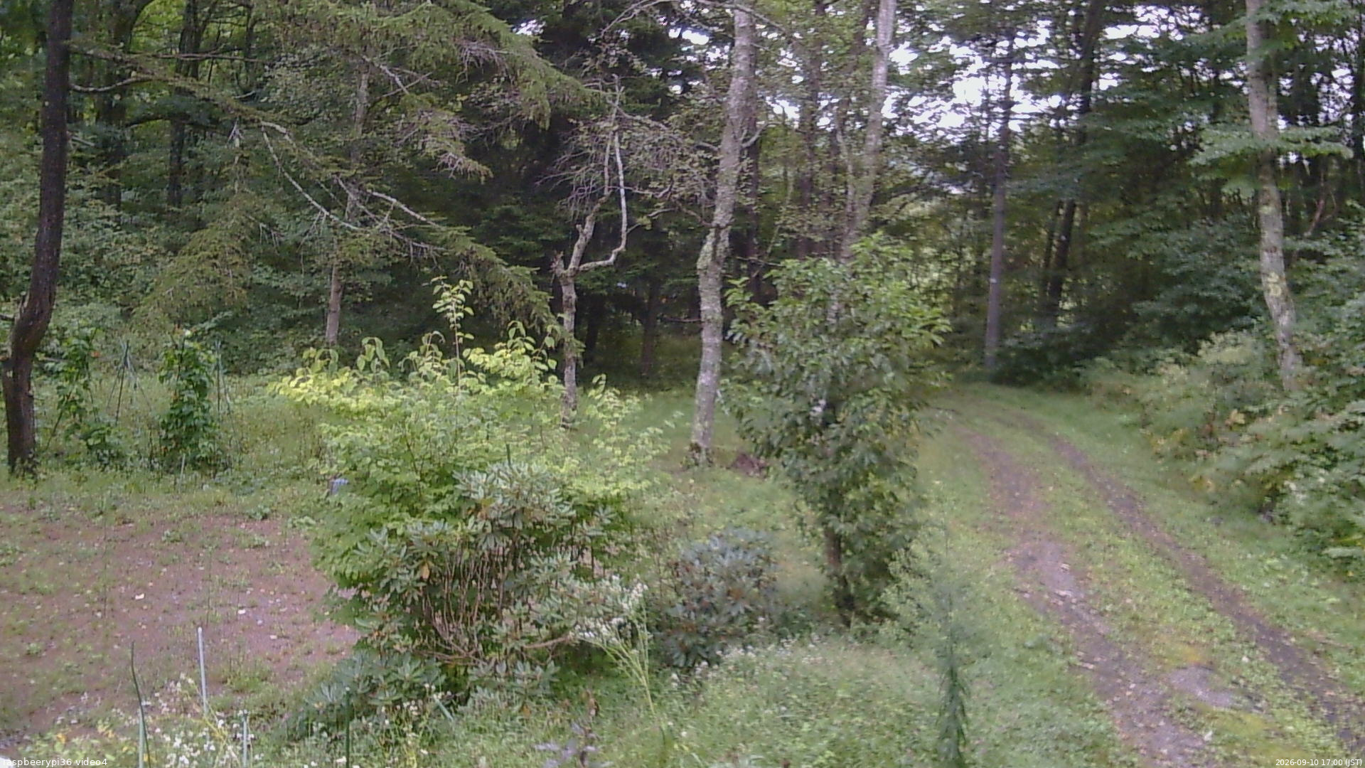 長野県菅平高原 ゆたか山荘 坂上 2026/09/10 17:00