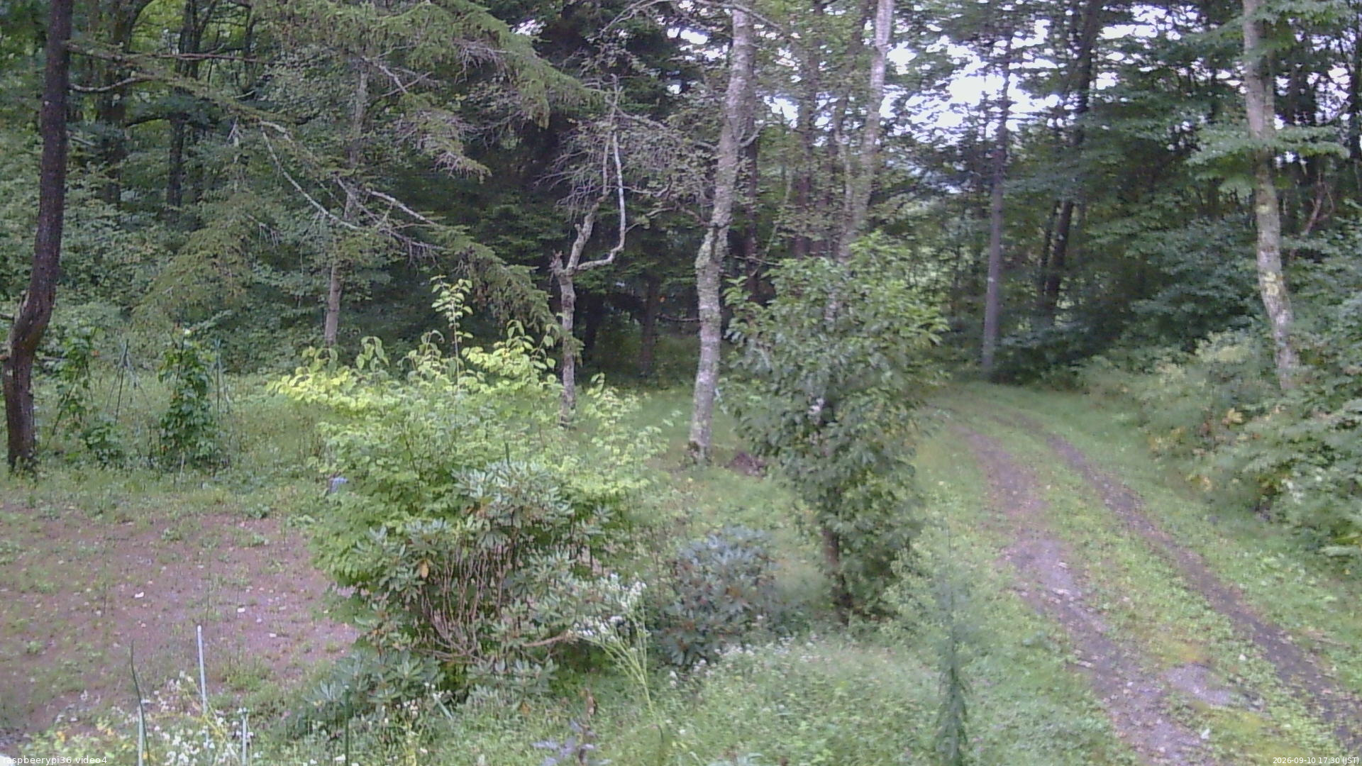 長野県菅平高原 ゆたか山荘 坂上 2026/09/10 17:30