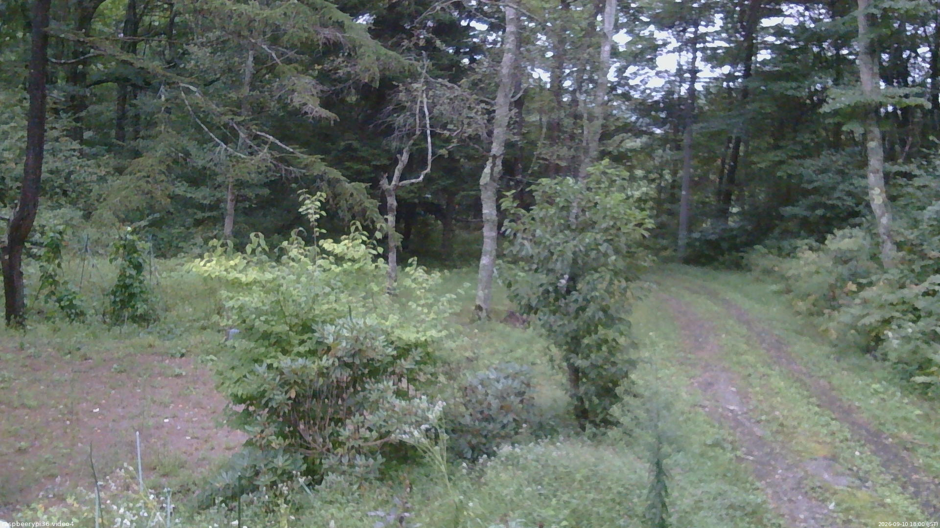 長野県菅平高原 ゆたか山荘 坂上 2026/09/10 18:00