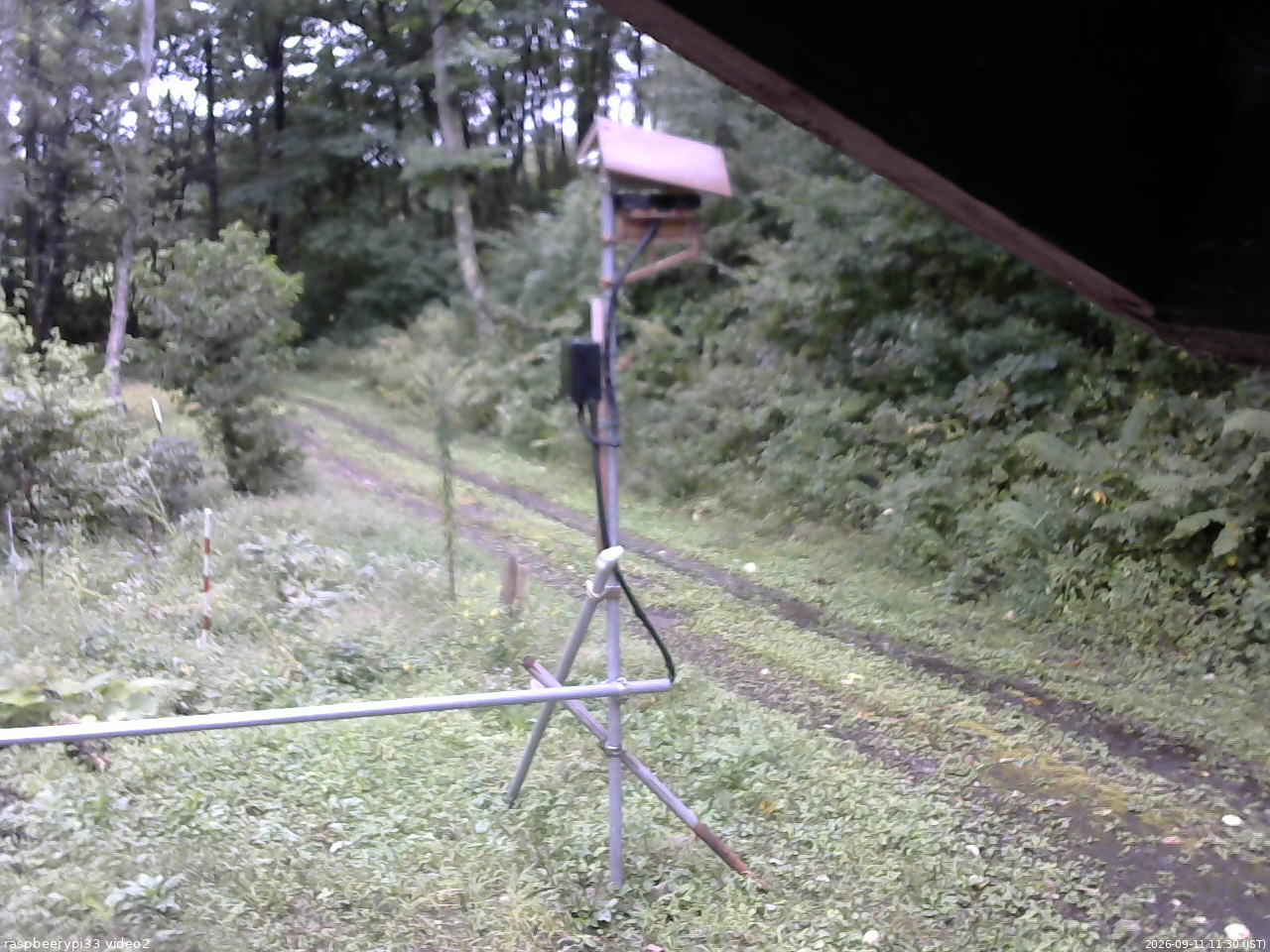 長野県菅平高原 ゆたか山荘 南側 2026/09/11 11:30