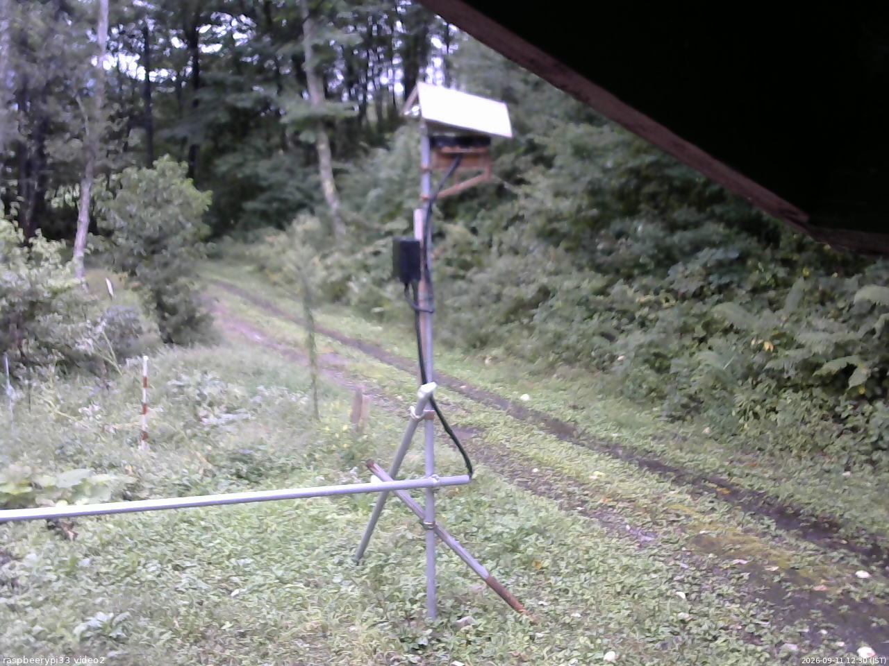 長野県菅平高原 ゆたか山荘 南側 2026/09/11 12:30