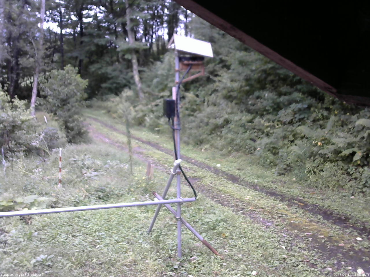 長野県菅平高原 ゆたか山荘 南側 2026/09/11 13:00