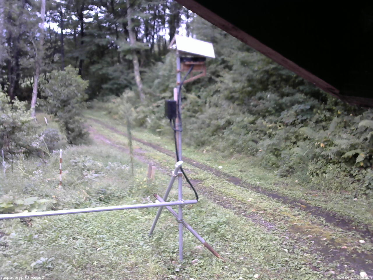 長野県菅平高原 ゆたか山荘 南側 2026/09/11 14:30