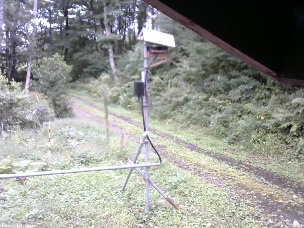 長野県菅平高原 ゆたか山荘 南側 2026/09/11 15:45