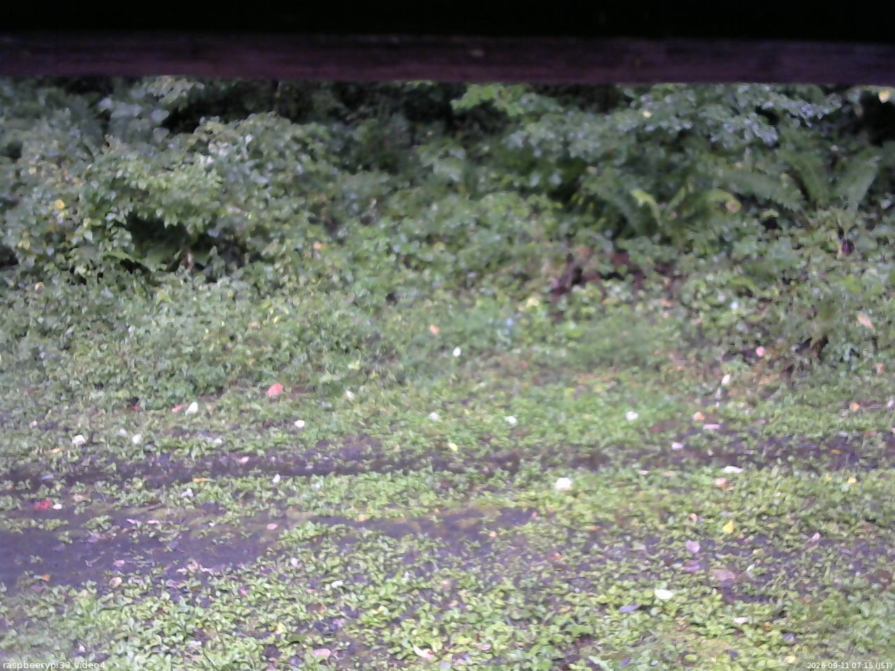 長野県菅平高原 ゆたか山荘 東側(坂下) 2026/09/11 07:15