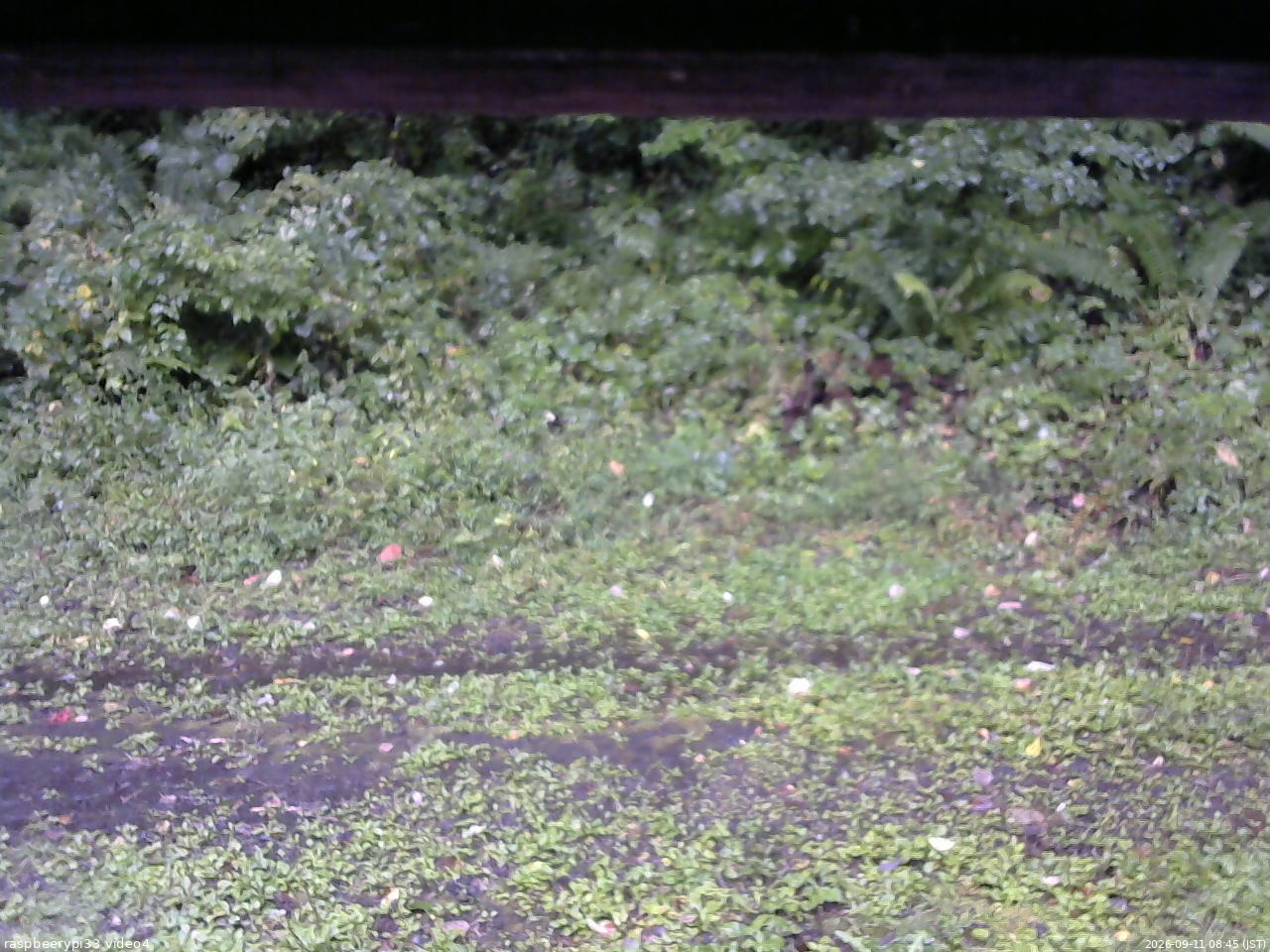 長野県菅平高原 ゆたか山荘 東側(坂下) 2026/09/11 08:45