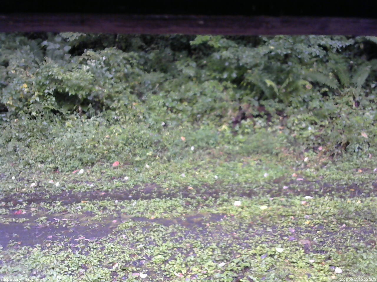 長野県菅平高原 ゆたか山荘 東側(坂下) 2026/09/11 10:00
