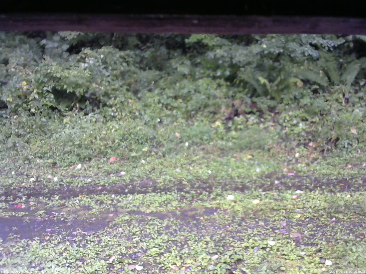 長野県菅平高原 ゆたか山荘 東側(坂下) 2026/09/11 10:15