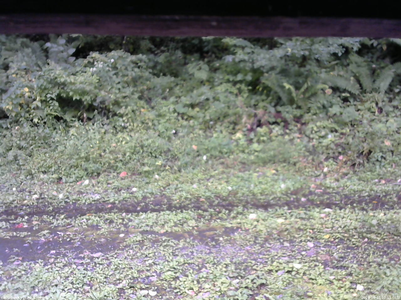 長野県菅平高原 ゆたか山荘 東側(坂下) 2026/09/11 12:15