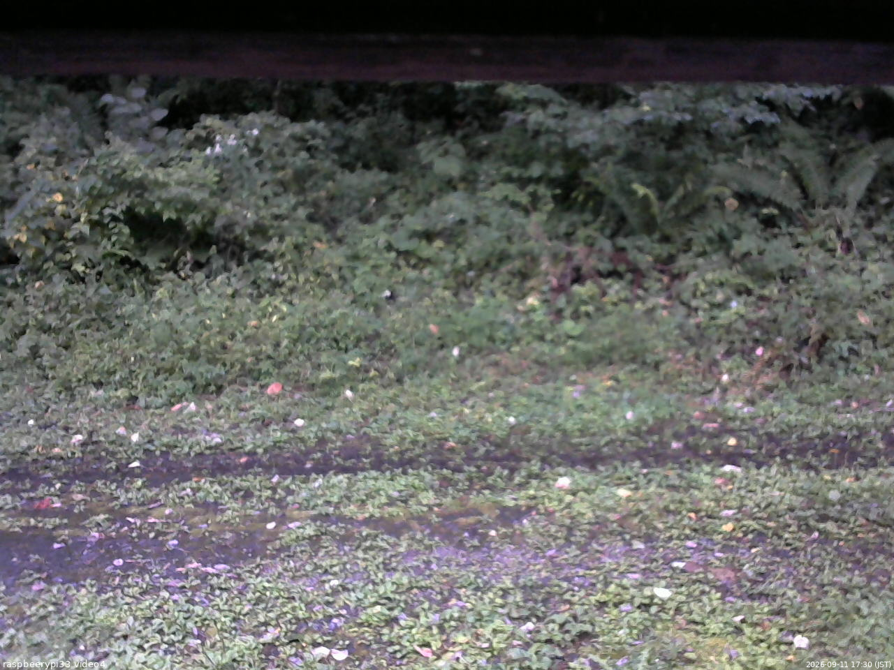 長野県菅平高原 ゆたか山荘 東側(坂下) 2026/09/11 17:30