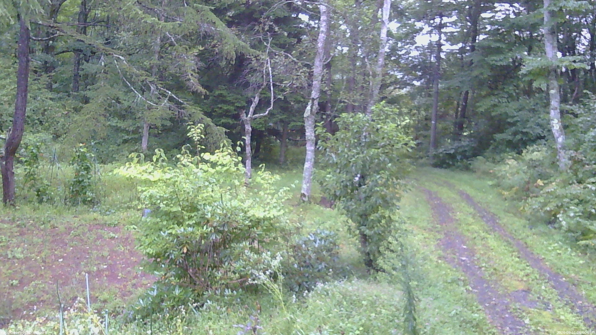 長野県菅平高原 ゆたか山荘 坂上 2026/09/11 06:00