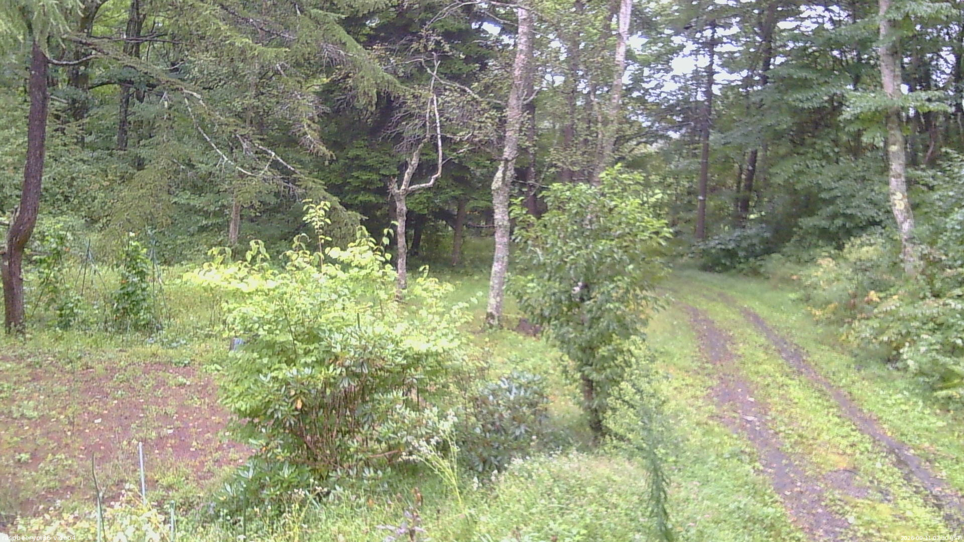 長野県菅平高原 ゆたか山荘 坂上 2026/09/11 07:30