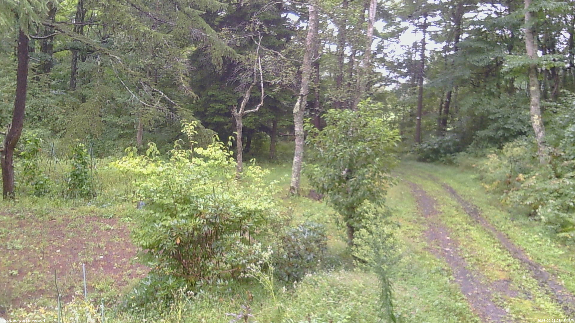 長野県菅平高原 ゆたか山荘 坂上 2026/09/11 08:45