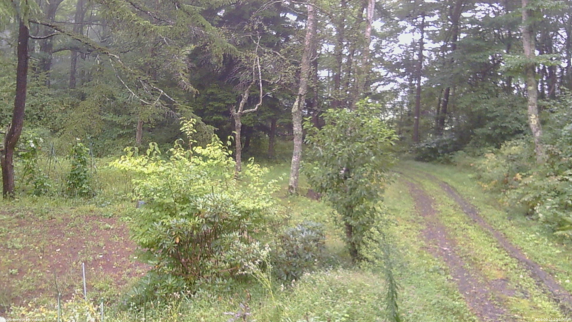長野県菅平高原 ゆたか山荘 坂上 2026/09/11 10:15