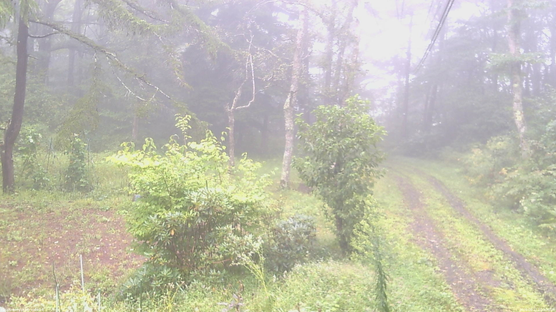 長野県菅平高原 ゆたか山荘 坂上 2026/09/11 10:30