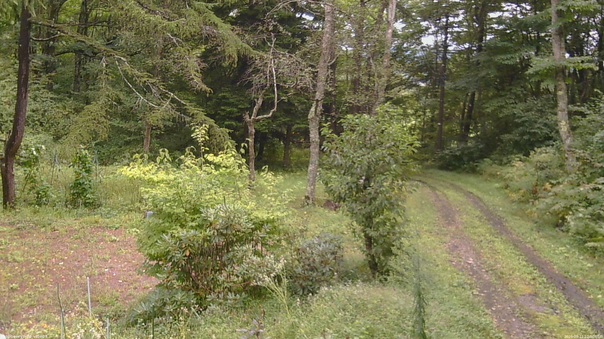 長野県菅平高原 ゆたか山荘 坂上 2026/09/11 12:00