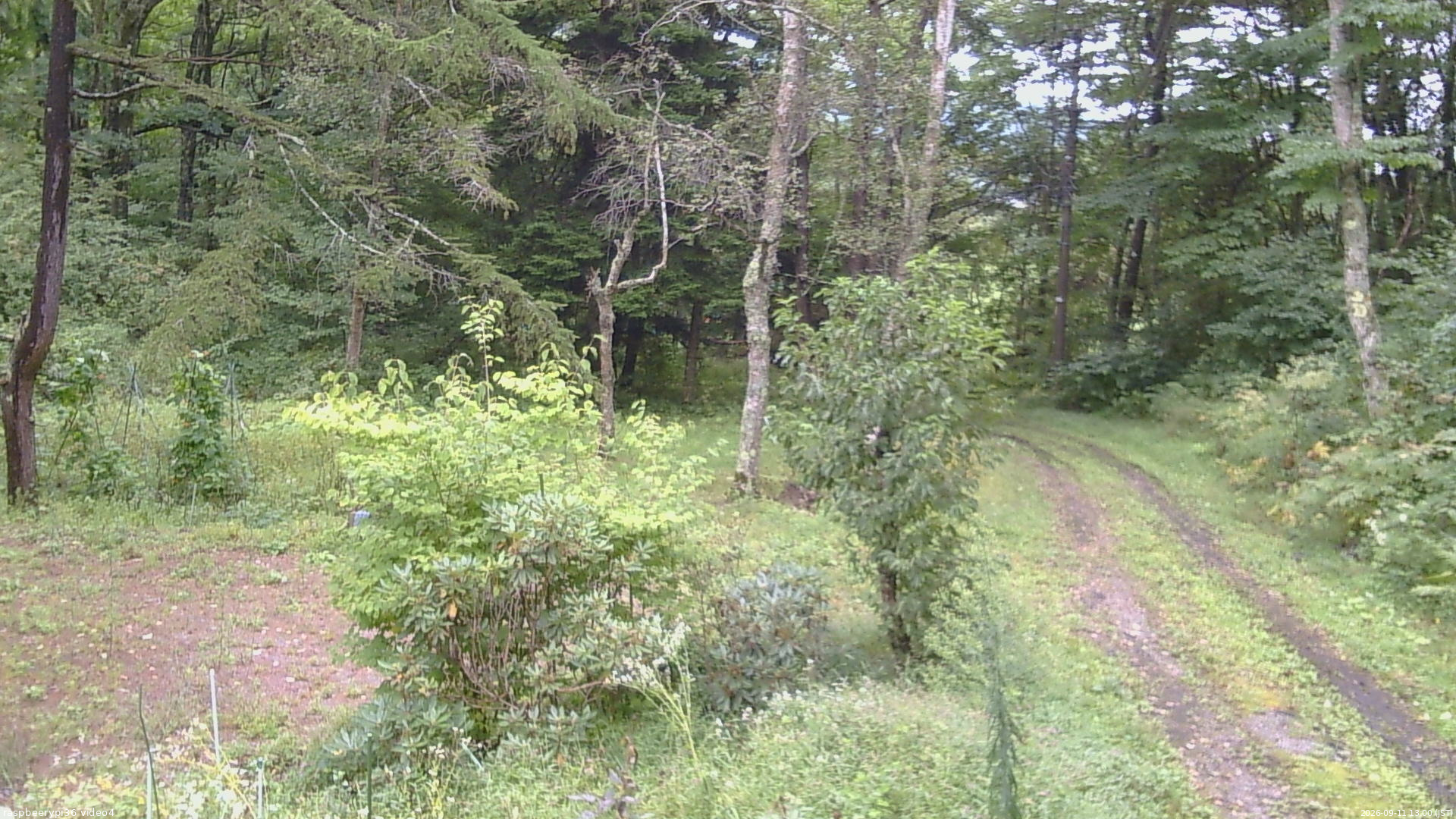 長野県菅平高原 ゆたか山荘 坂上 2026/09/11 13:00