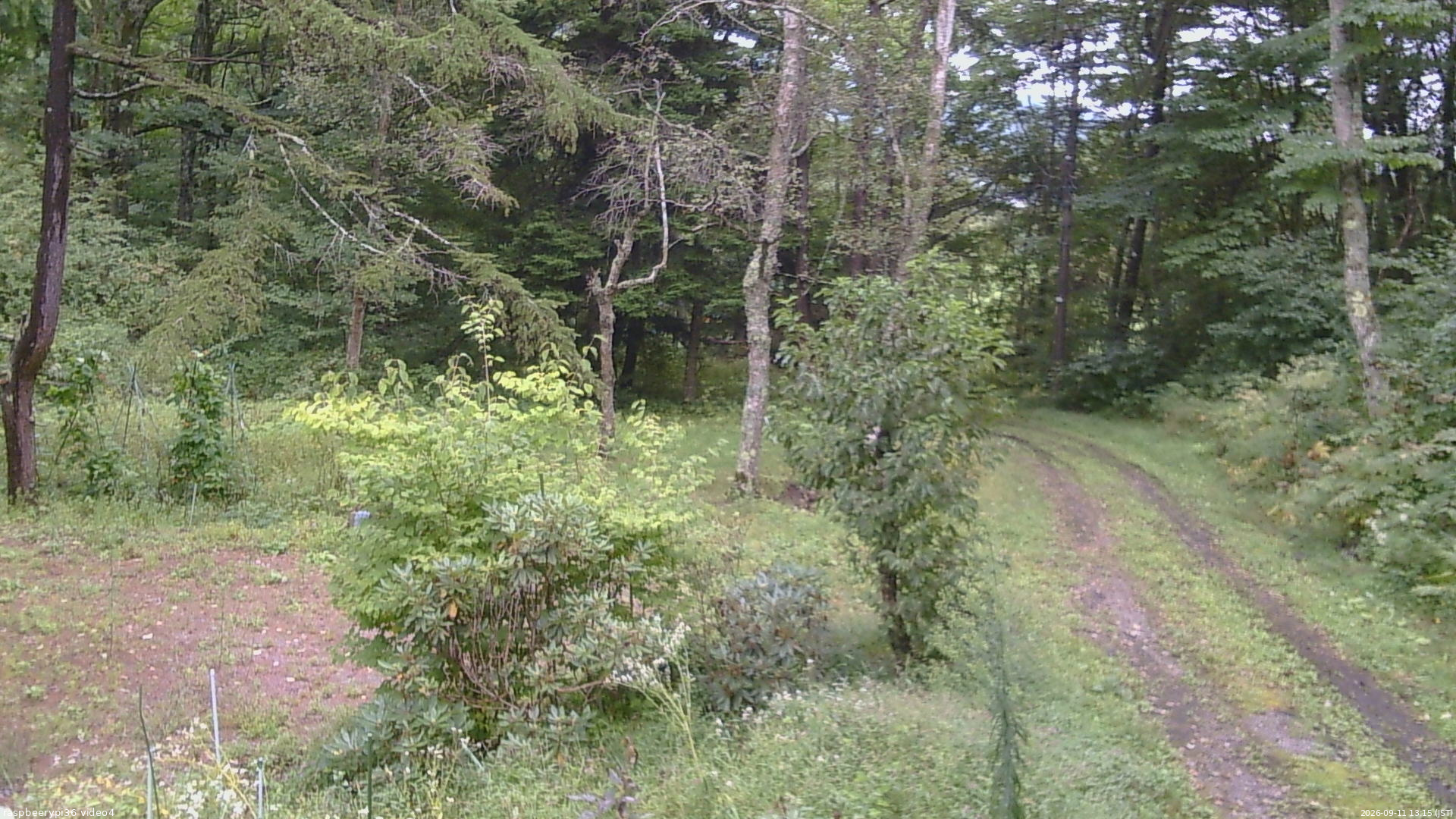 長野県菅平高原 ゆたか山荘 坂上 2026/09/11 13:15