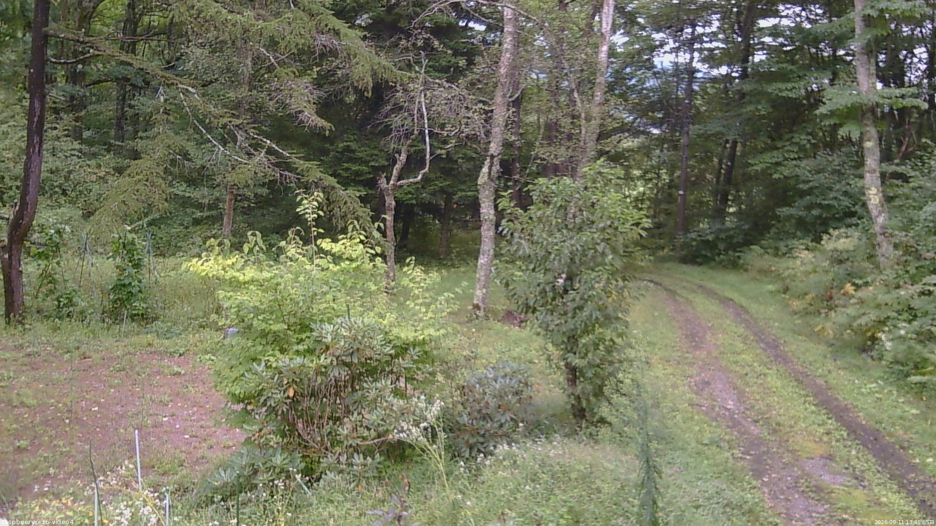 長野県菅平高原 ゆたか山荘 坂上 2026/09/11 13:45