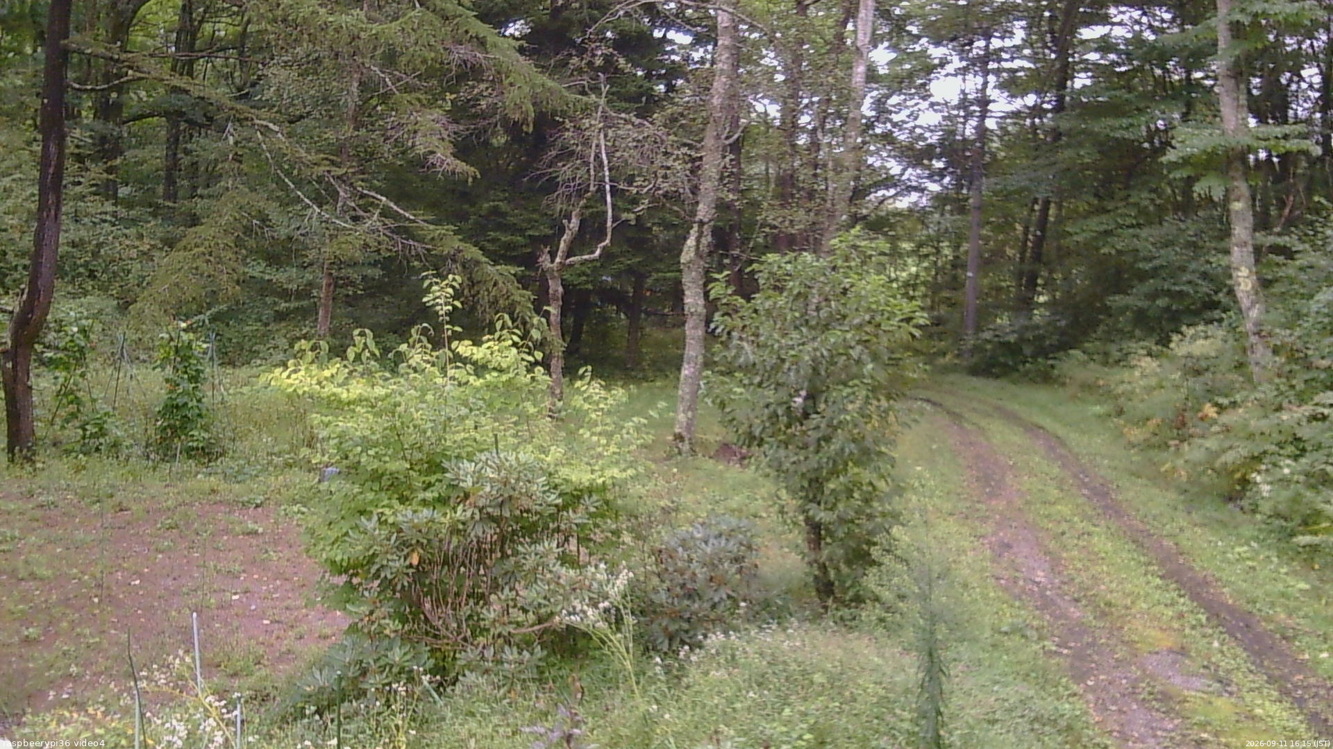 長野県菅平高原 ゆたか山荘 坂上 2026/09/11 16:15