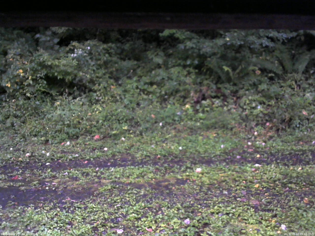長野県菅平高原 ゆたか山荘 東側(坂下) 2026/09/12 05:45