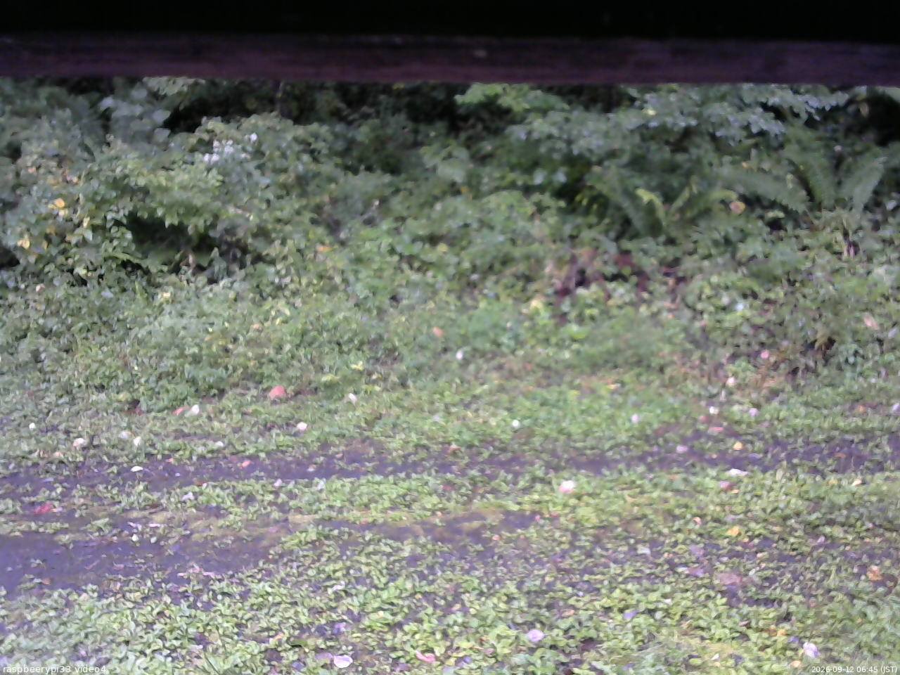 長野県菅平高原 ゆたか山荘 東側(坂下) 2026/09/12 06:45
