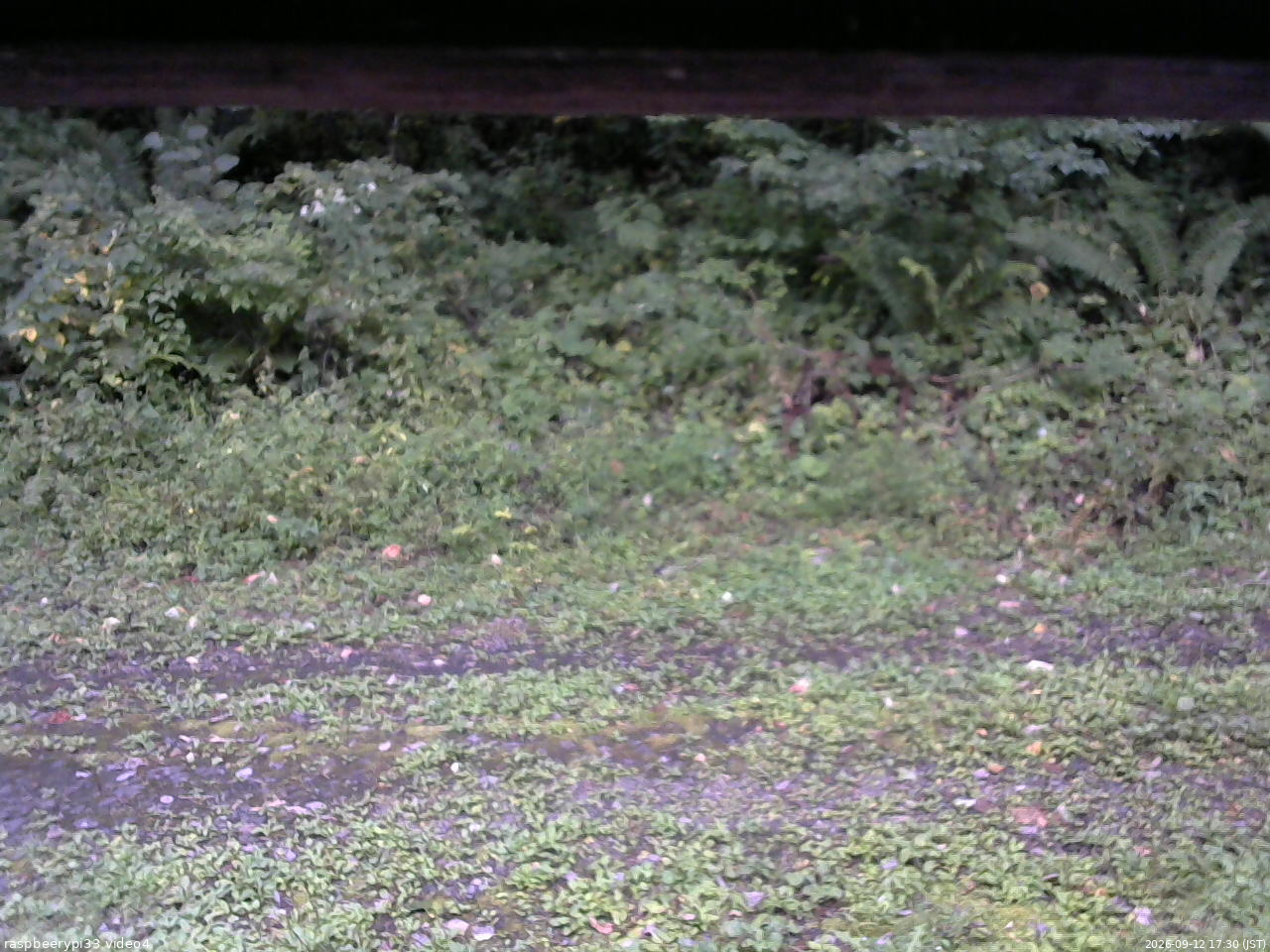 長野県菅平高原 ゆたか山荘 東側(坂下) 2026/09/12 17:30