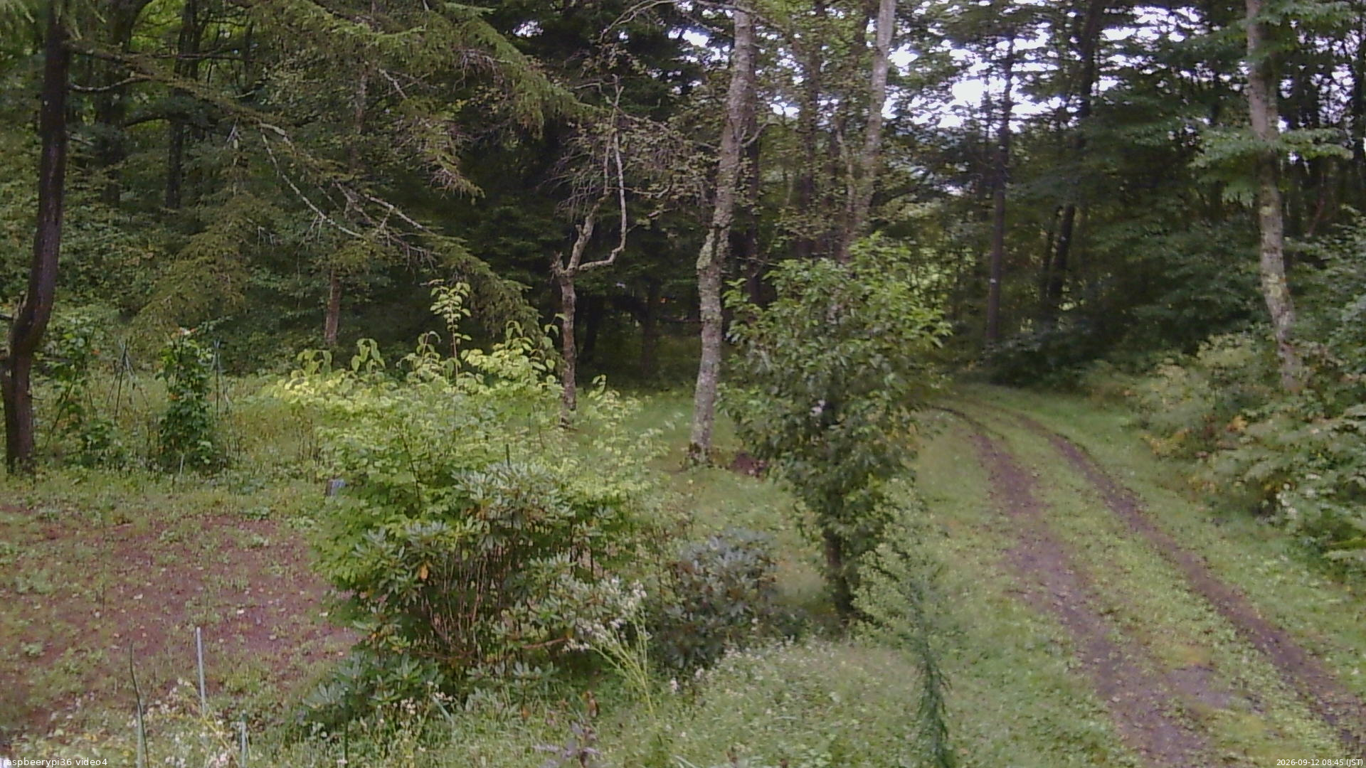長野県菅平高原 ゆたか山荘 坂上 2026/09/12 08:45