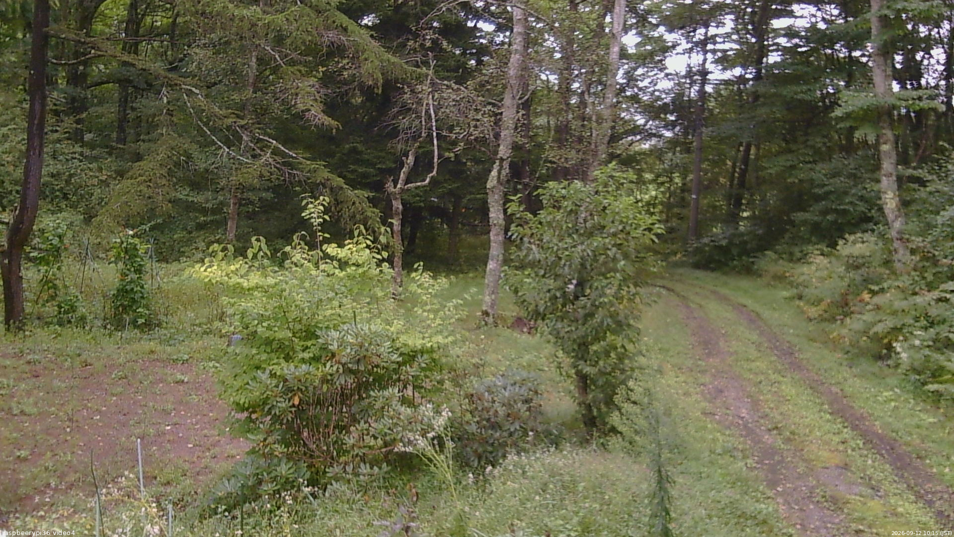 長野県菅平高原 ゆたか山荘 坂上 2026/09/12 10:15