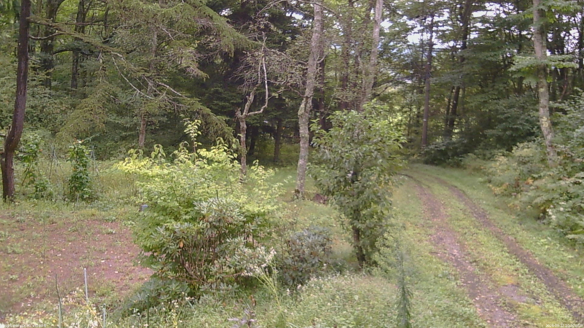長野県菅平高原 ゆたか山荘 坂上 2026/09/12 10:30