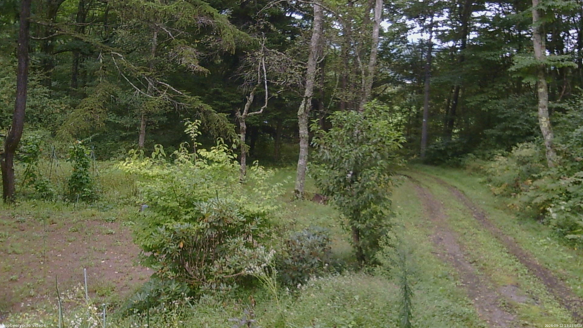 長野県菅平高原 ゆたか山荘 坂上 2026/09/12 13:15