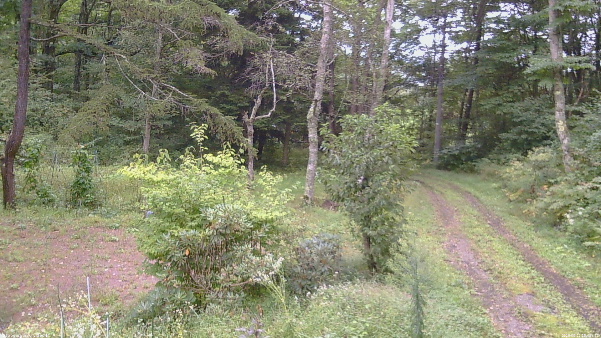 長野県菅平高原 ゆたか山荘 坂上 2026/09/12 15:45