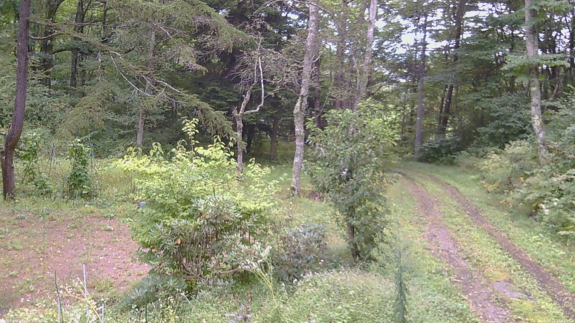 長野県菅平高原 ゆたか山荘 坂上 2026/09/12 16:15