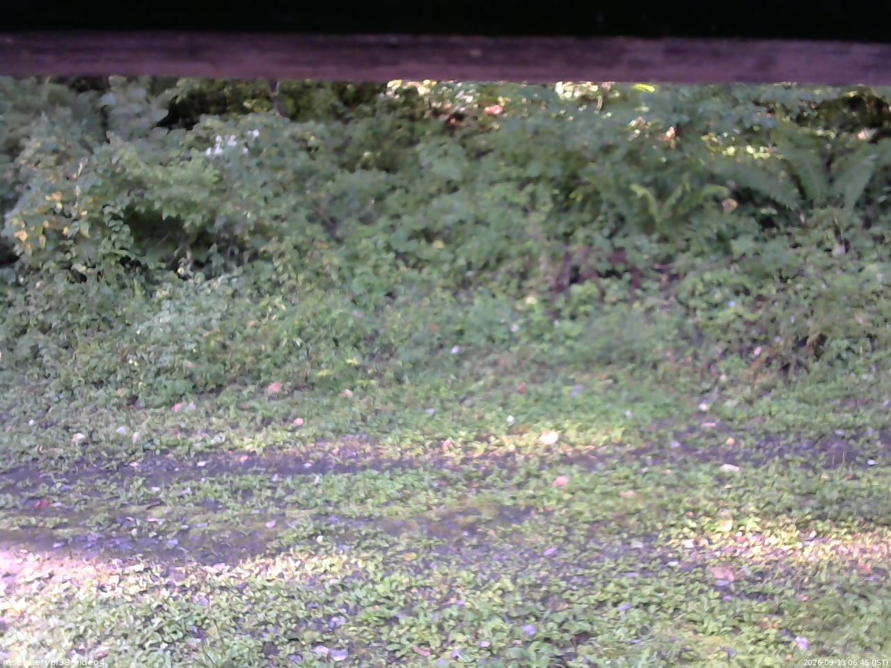 長野県菅平高原 ゆたか山荘 東側(坂下) 2026/09/13 06:45