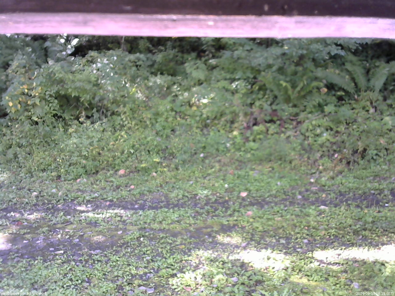 長野県菅平高原 ゆたか山荘 東側(坂下) 2026/09/13 08:15