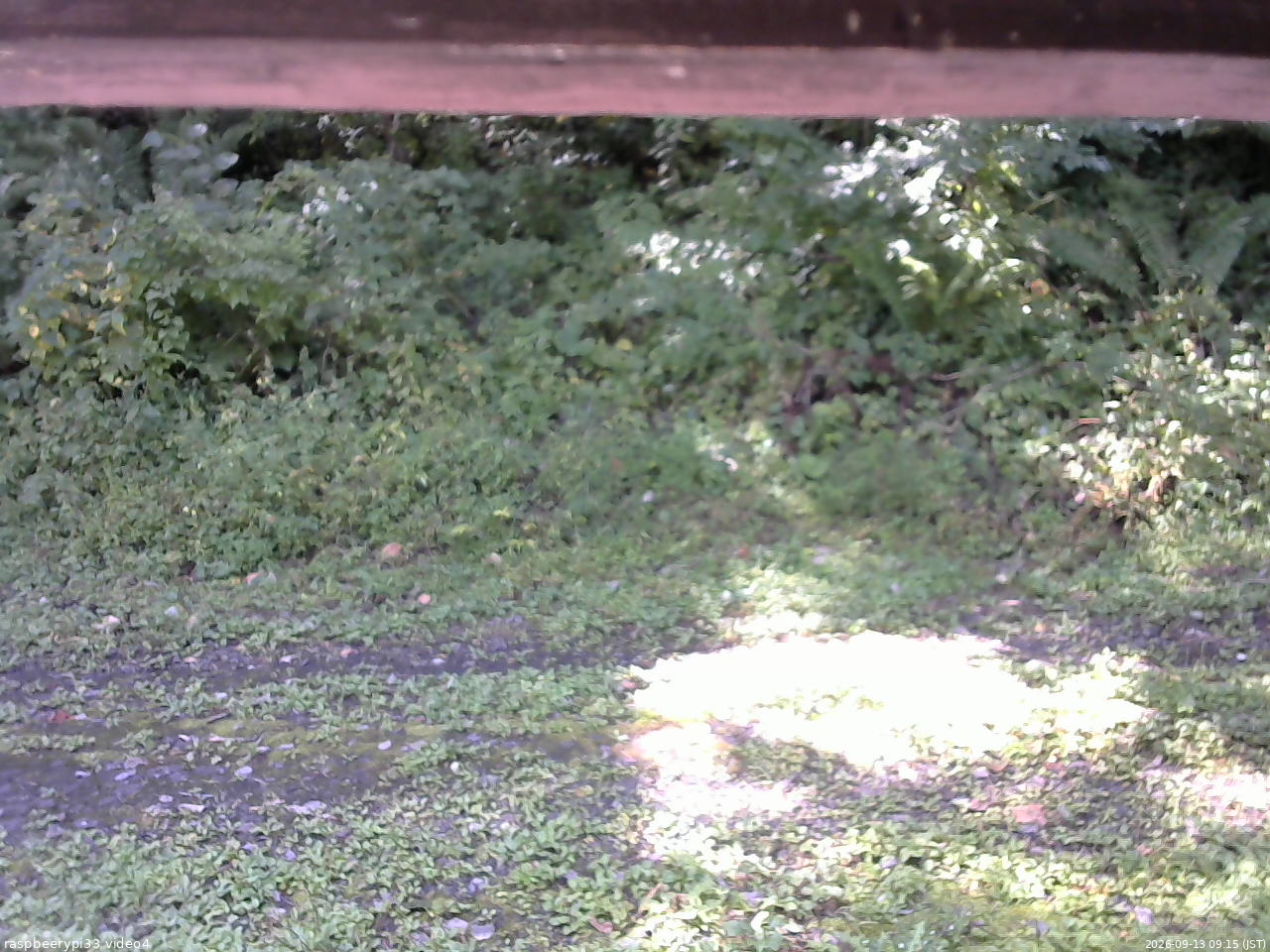 長野県菅平高原 ゆたか山荘 東側(坂下) 2026/09/13 09:15