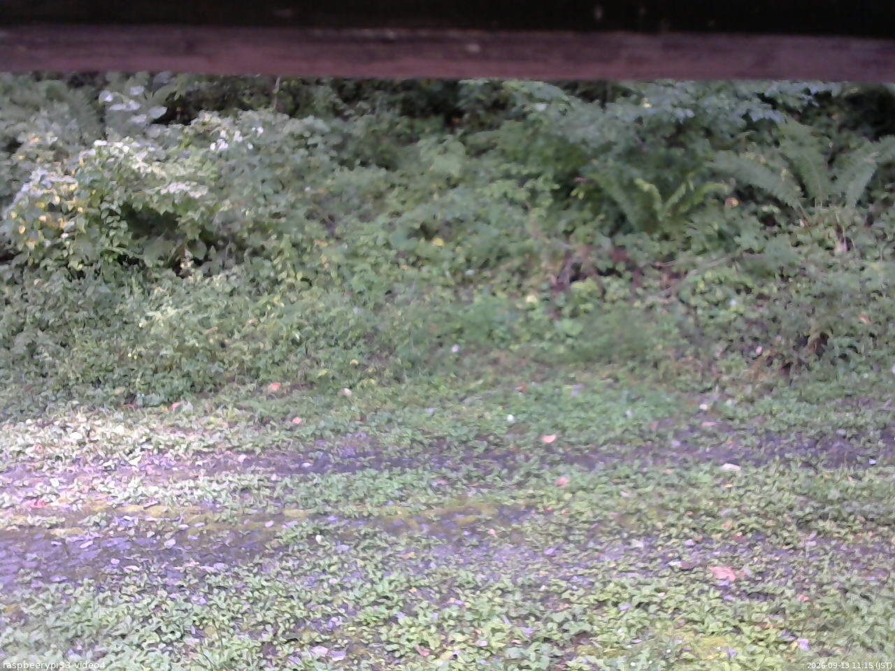 長野県菅平高原 ゆたか山荘 東側(坂下) 2026/09/13 11:15