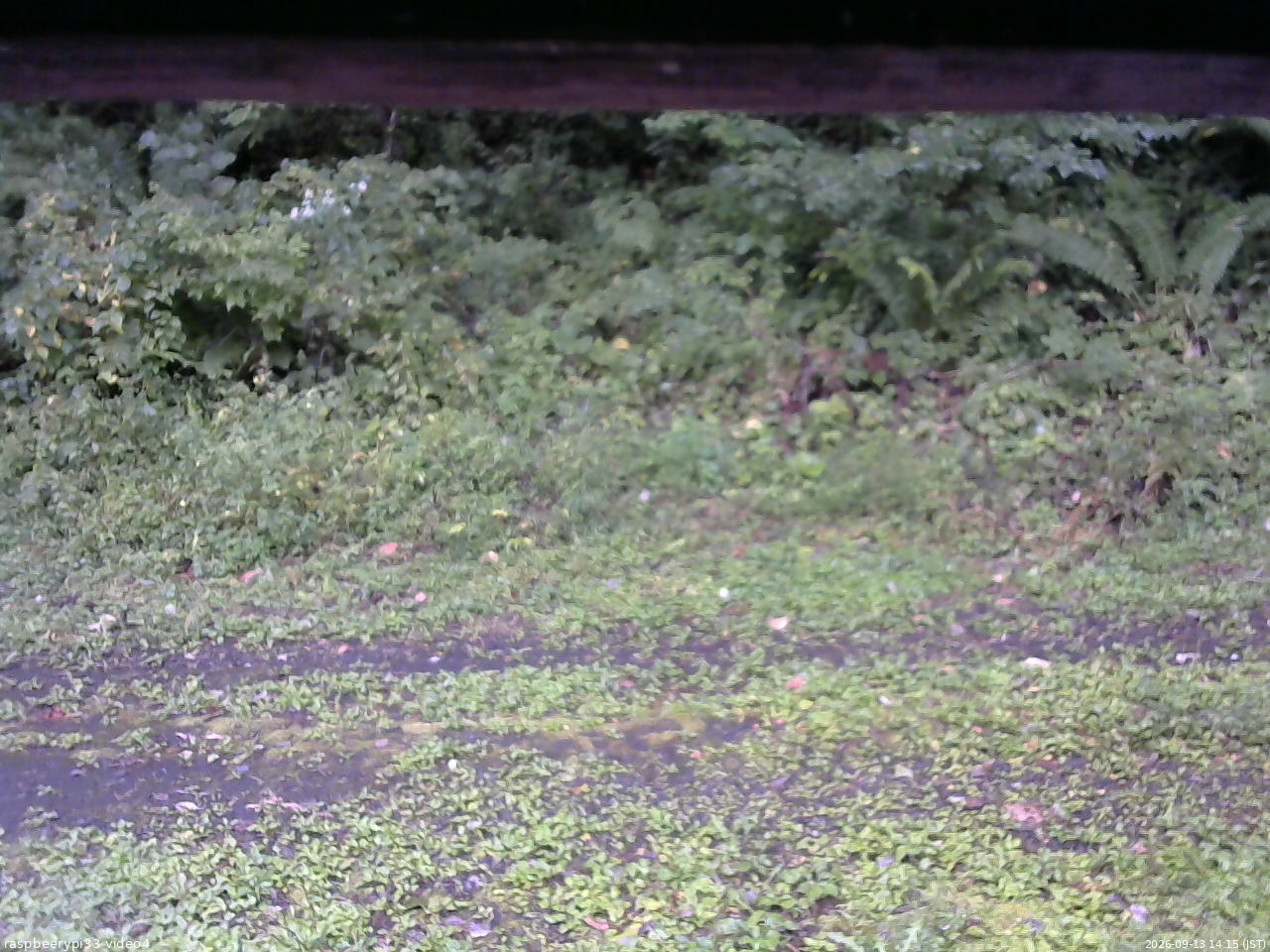 長野県菅平高原 ゆたか山荘 東側(坂下) 2026/09/13 14:15