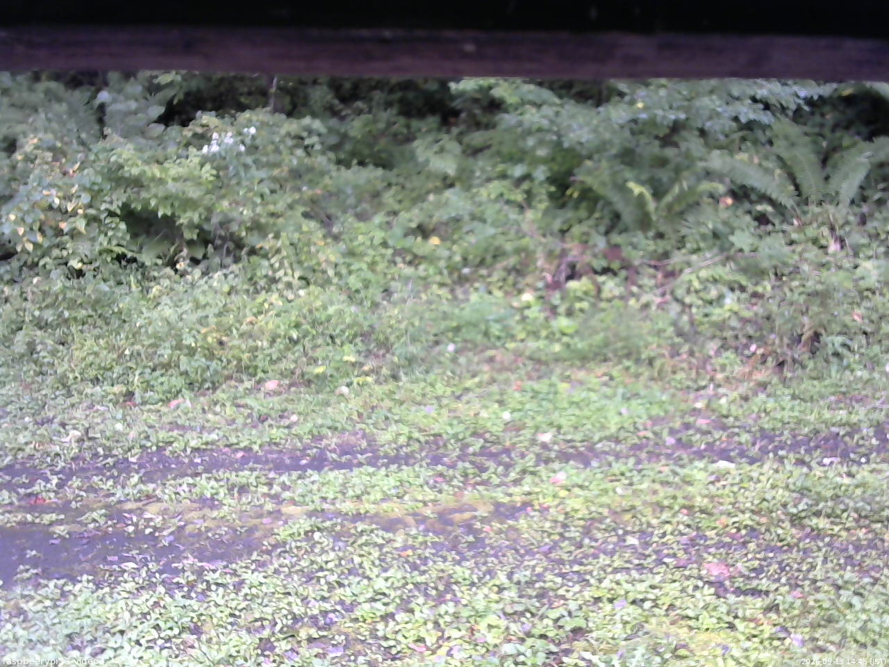 長野県菅平高原 ゆたか山荘 東側(坂下) 2026/09/13 14:45