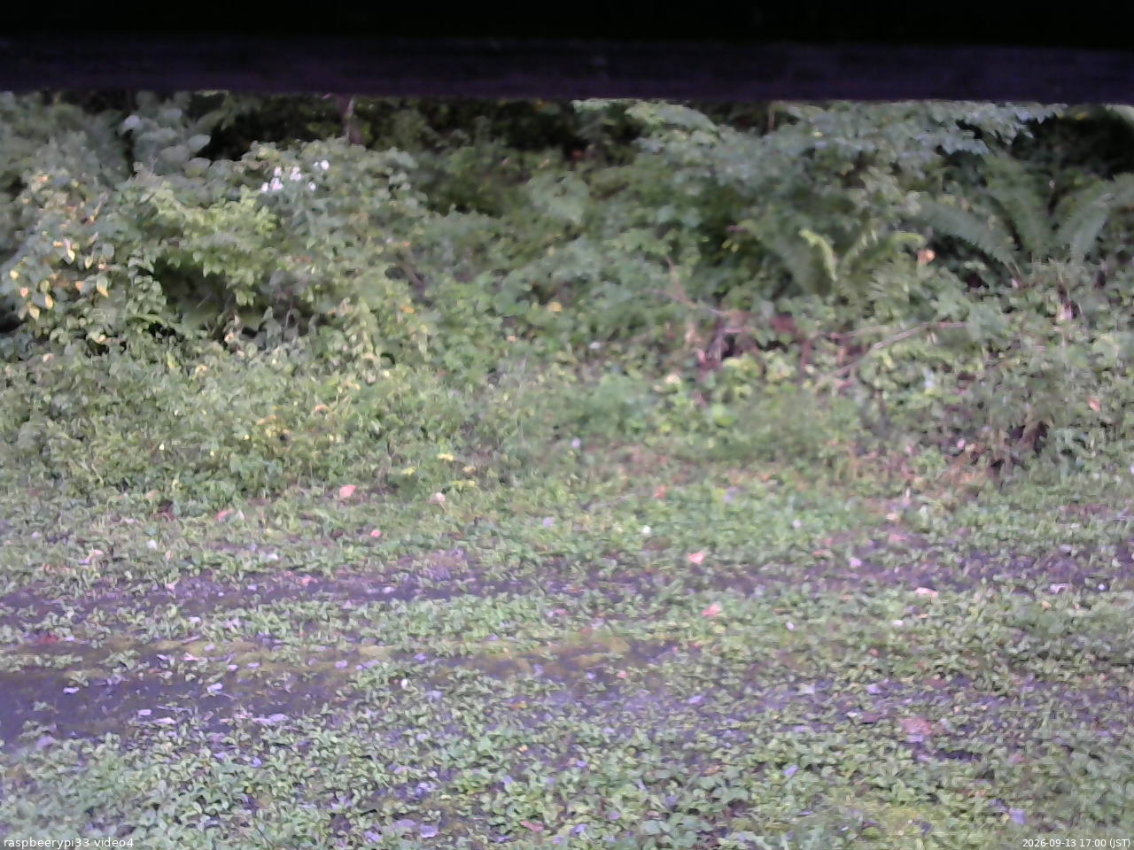 長野県菅平高原 ゆたか山荘 東側(坂下) 2026/09/13 17:00