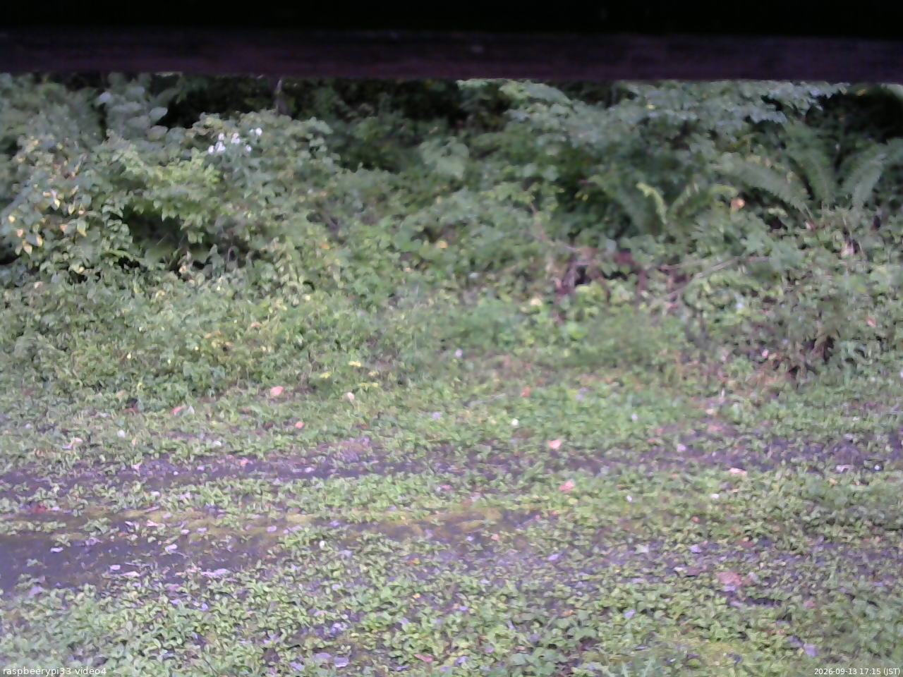 長野県菅平高原 ゆたか山荘 東側(坂下) 2026/09/13 17:15
