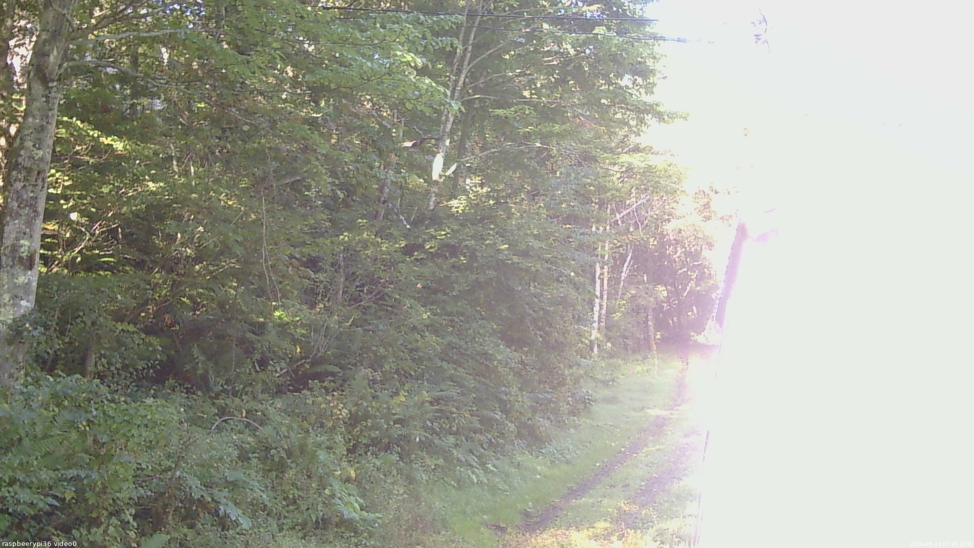 長野県菅平高原 ゆたか山荘 ゆたか山荘 2026/09/13 07:45