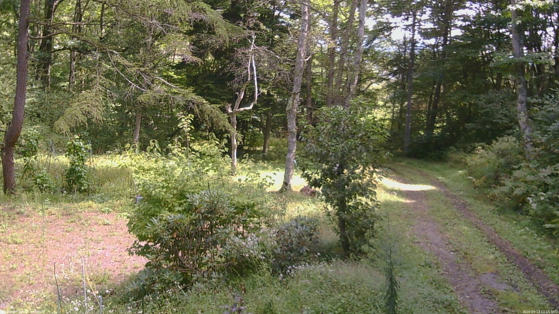 長野県菅平高原 ゆたか山荘 坂上 2026/09/13 11:15