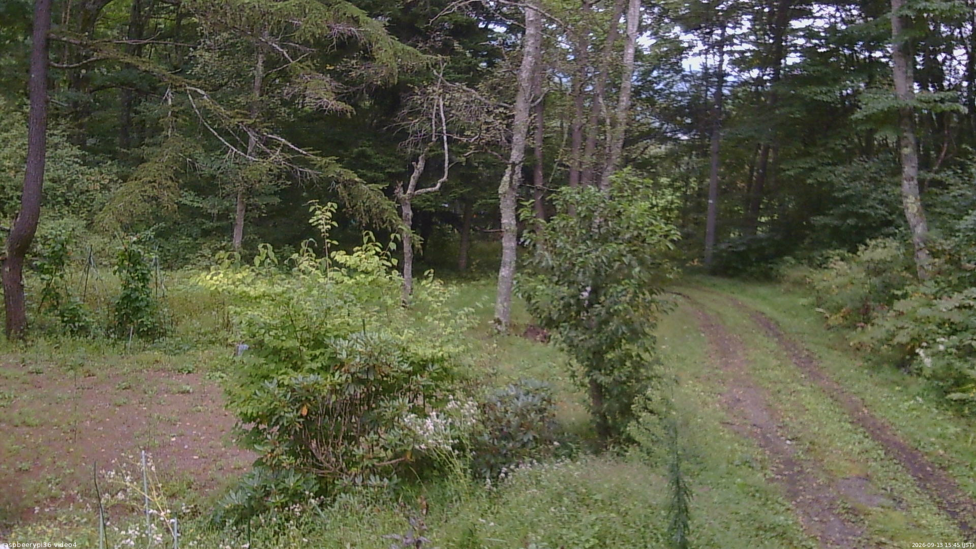 長野県菅平高原 ゆたか山荘 坂上 2026/09/13 15:45