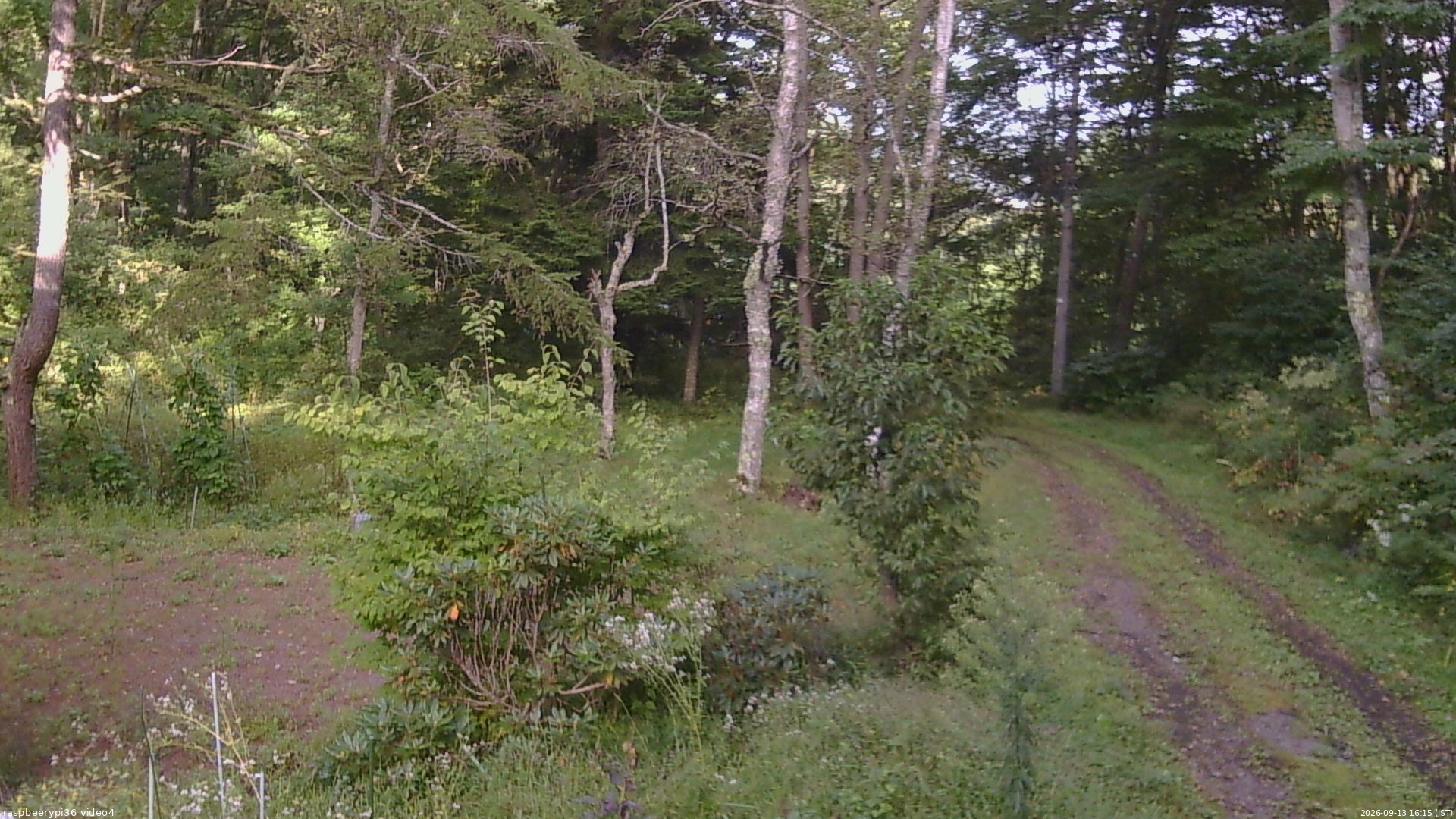 長野県菅平高原 ゆたか山荘 坂上 2026/09/13 16:15