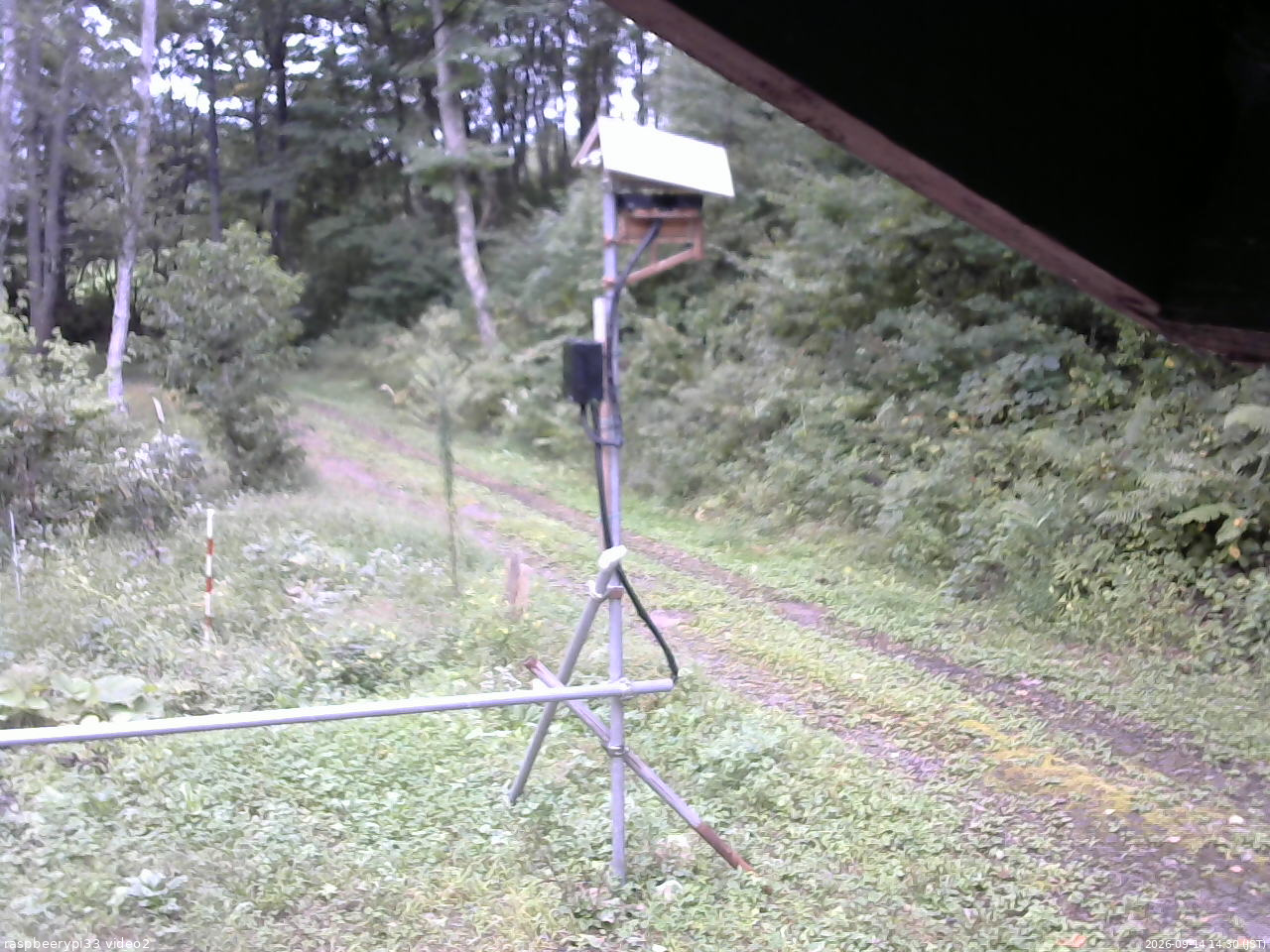 長野県菅平高原 ゆたか山荘 南側 2026/09/14 14:30