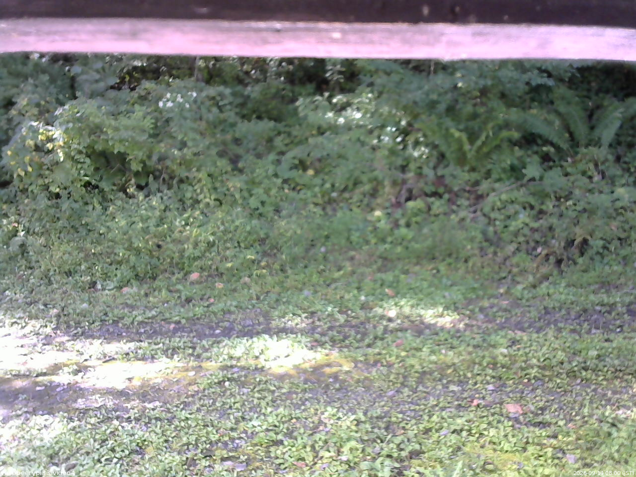 長野県菅平高原 ゆたか山荘 東側(坂下) 2026/09/14 08:00